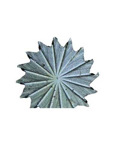 Fresa Pave' Flat