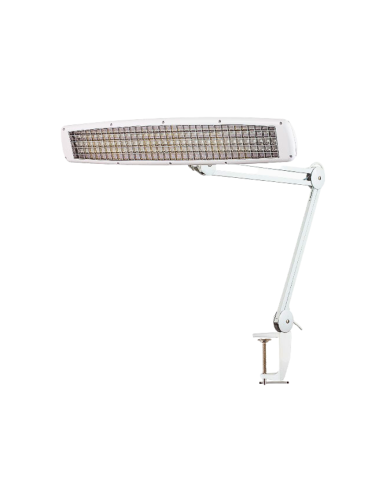 Lampada 3 Neon con Morsetto