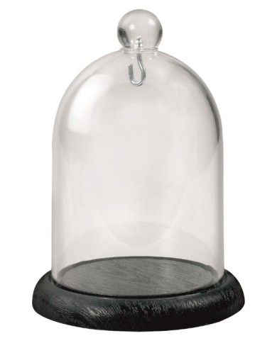 Campana Portaorologi