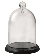 Campana Portaorologi