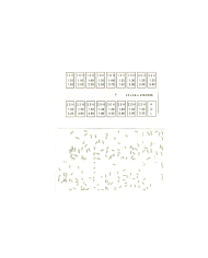 ASSORTIMENTO VITI per FONDI CASSE