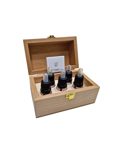 Set per saggi: Scatola con 5 acidi + pietra