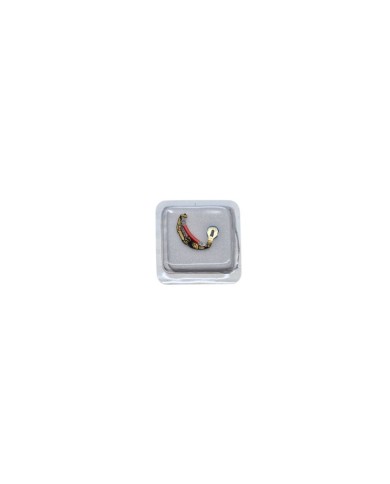 Circuito Esa 210.001