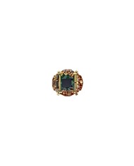 Circuito Citizen 750-782