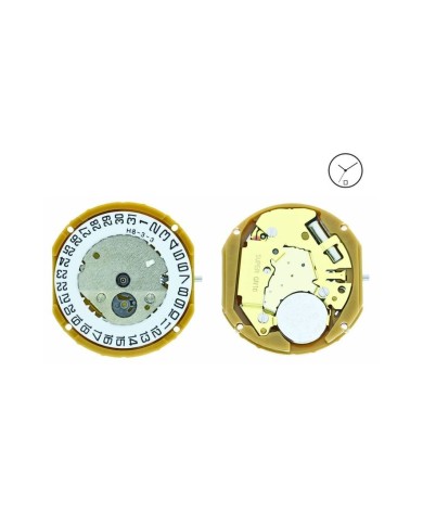 Movimento Miyota GN10 = GN12 H6