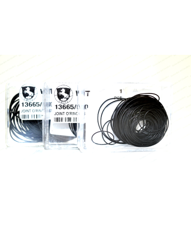 Assortimento Guarnizioni