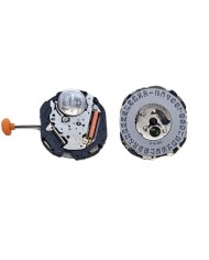 Movimento Citizen 2F10