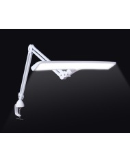 Lampada LED con Morsetto Daylight Lumi