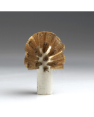 Fungo Ottone