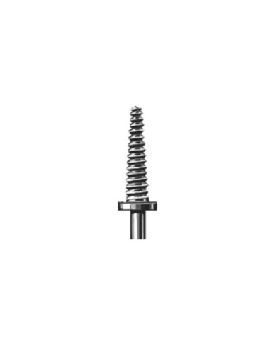 Mandrino Busch 301L-RS per Cilindretti