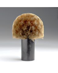 Fungo Ottone