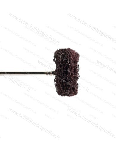 Spazzolino a Disco Scotch-Brite