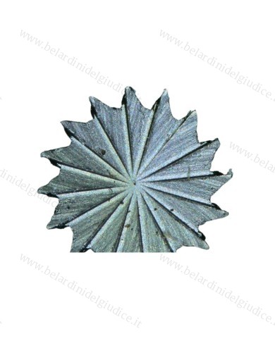 Fresa Pave' Flat