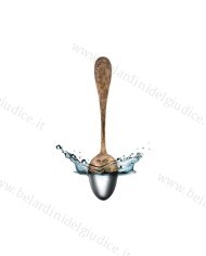 Liquido per posate in argento Hagerty Silver Bath