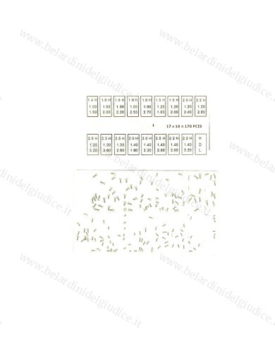 ASSORTIMENTO VITI per FONDI CASSE