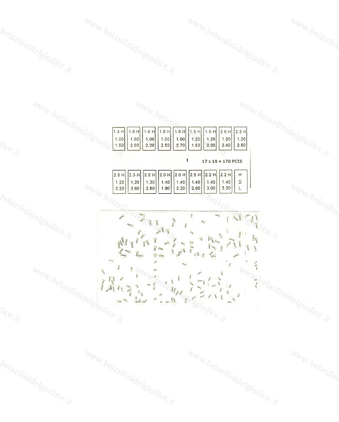 ASSORTIMENTO VITI per FONDI CASSE