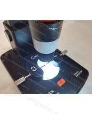 Microscopio Digitale Gemax Pro II XL da 10 a 300x