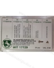 Assortimento Viti per Rx 3135