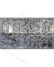 Assortimento Viti per Fondo Cassa Acciaio Testa Piatta a Taglio - 360 pz