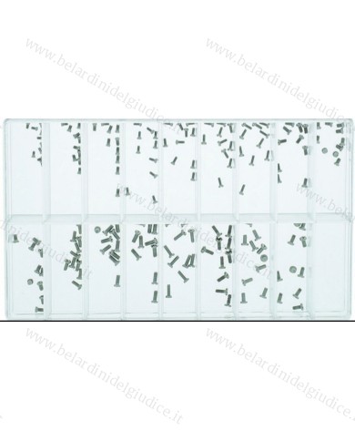 Assortimento Viti per Fondo Cassa Testa Piatta a Croce - 170 pz