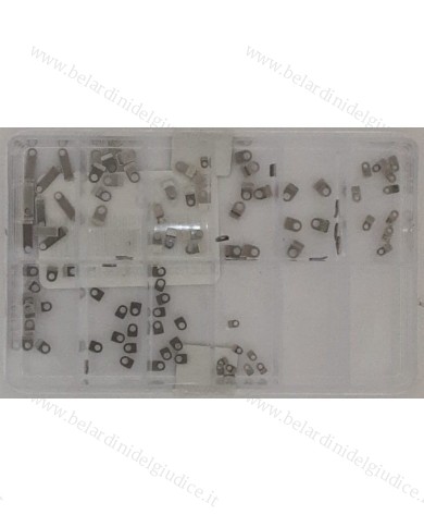 Assortimento Bride di Fissaggio per Movimenti in Cassa - 100 pz