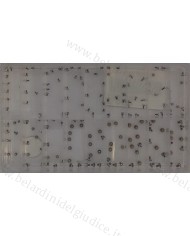 Assortimento Viti per Fondo Cassa Testa Piatta a Taglio - 180 pz