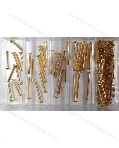 Assortimento Perni a Vite Dorati da 12 a 20 mm - 50 pz