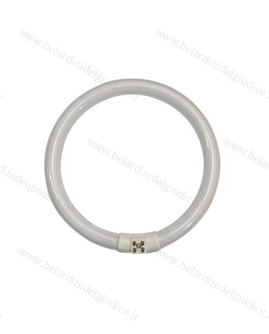 Tubo Neon Circolare 22 Watt