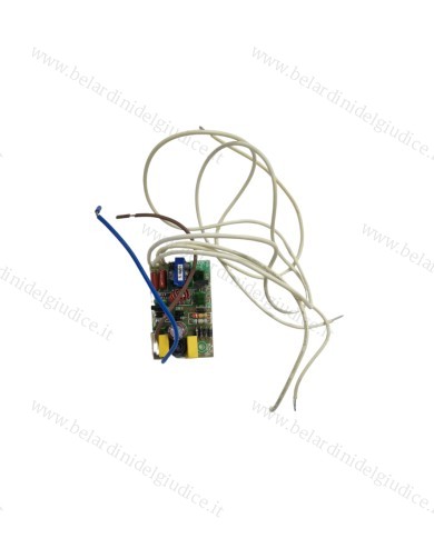 Scheda Elettronica per Lampada Neon