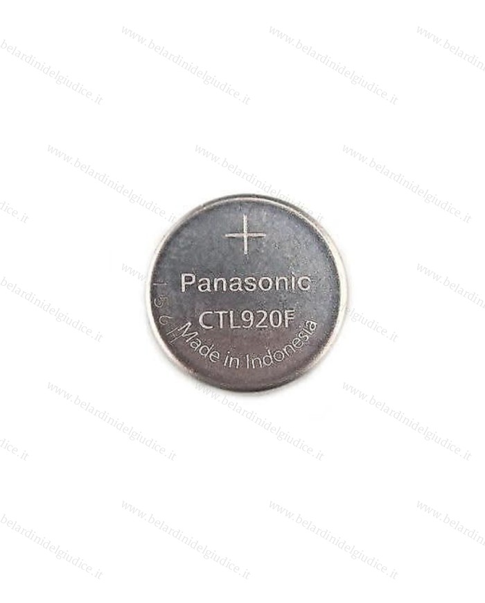 Accumulatore CTL 920 per Casio 5031