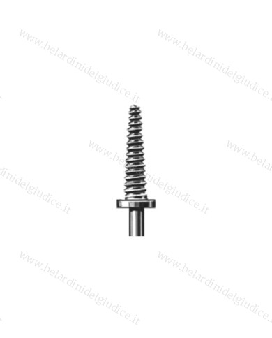 Mandrino Busch 301L-RS per Cilindretti