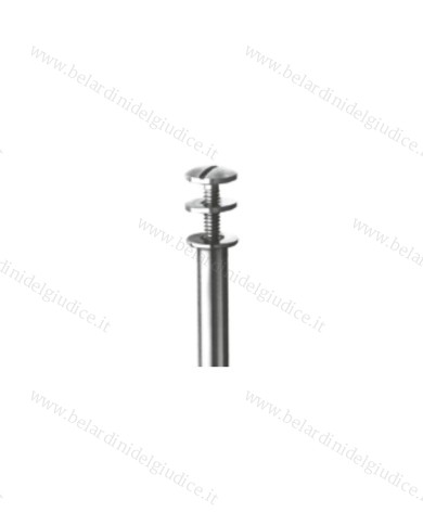 Mandrino Busch 305RS per Dischi Separatori