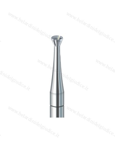 Fresa Busch dis. 411CT
